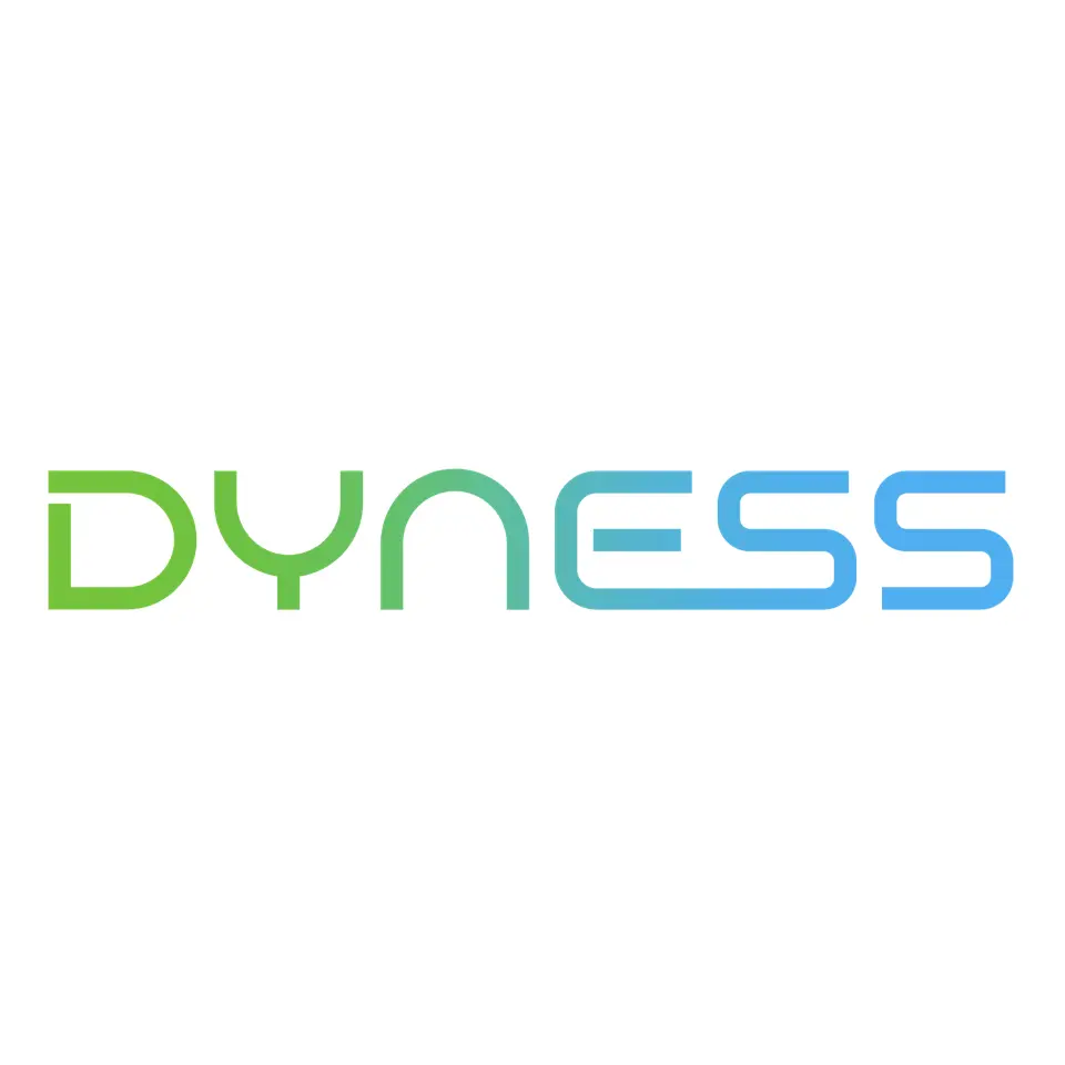 dyness-480